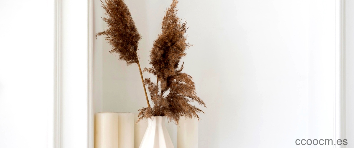 Crea una habitación aesthetic con plantas: tips de decoración