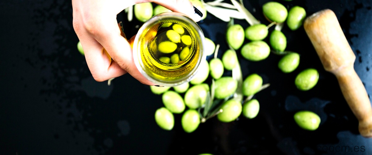 ¿Cuál aceite de oliva es mejor, Carbonell o La Española?