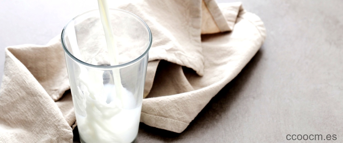 ¿Cuál es la leche que no tiene lactosa?