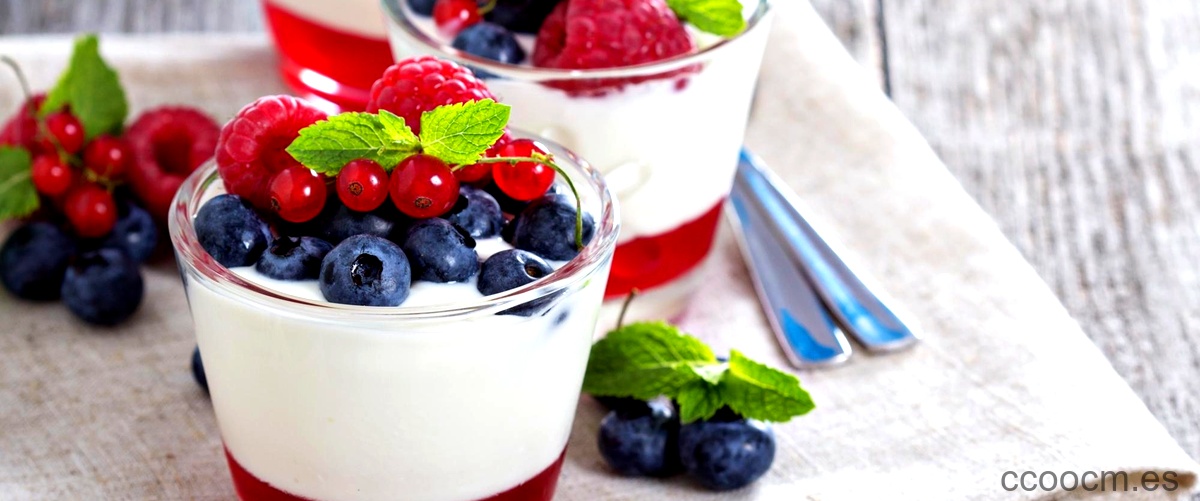 ¿Cuál yogurt es el más recomendable?