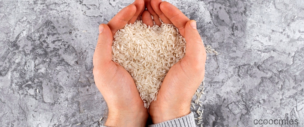 Los beneficios de incluir 60 gramos de arroz en tu dieta diaria.
