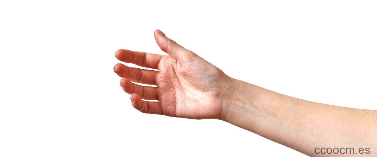 ¿Qué significa Hand en español?