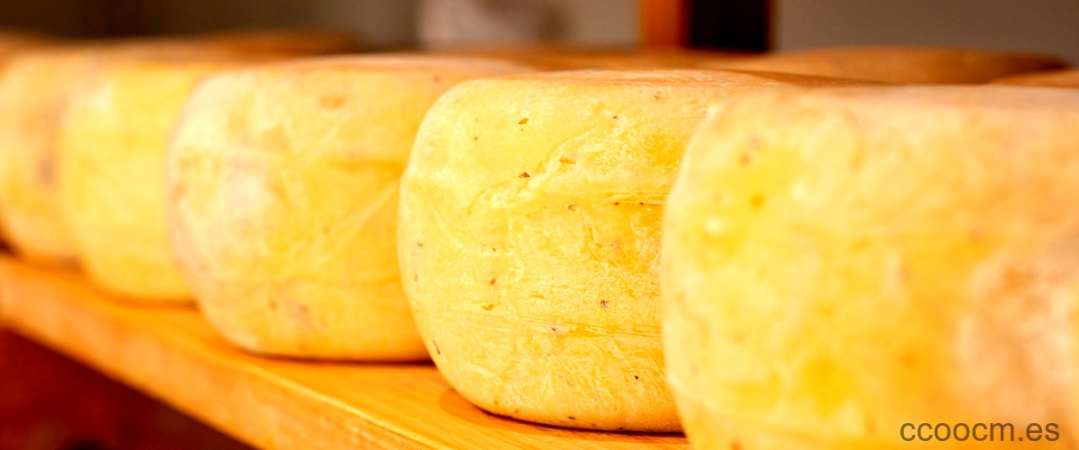 ¿Qué tipo de queso es el queso parmesano?